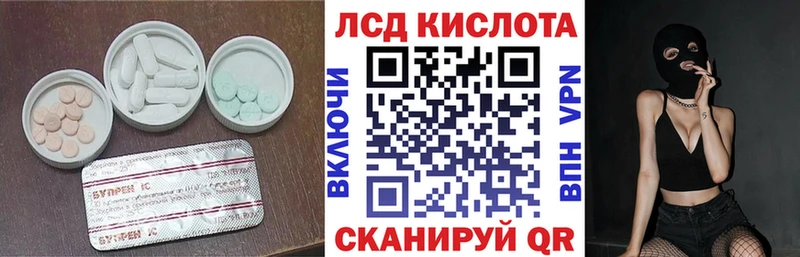 купить наркотики сайты Курчалой Лсд 25 экстази ecstasy