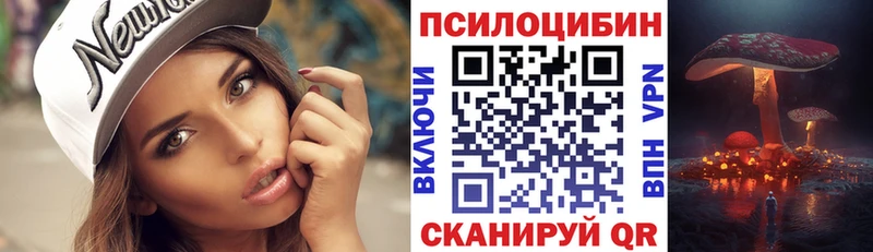 Псилоцибиновые грибы MAGIC MUSHROOMS  Курчалой 